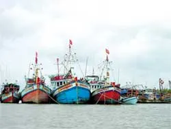 Làng cá lớn nhất Việt Nam